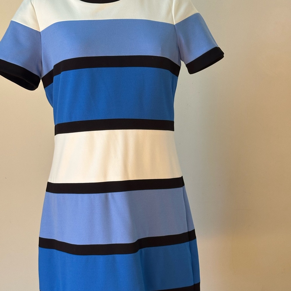 Striped Blue and White Dress